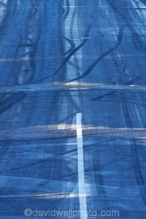 below-zero;cold;cold-temperature;cold-temperatures;Coldness;danger;dangerous;Daytime;Dunedin;Exterior;extreme-weather;freeze;freezing;frost;frosty;frosty-road;frosty-roads;frosty-street;frosty-streets;ice;icy;icy-road;icy-roads;icy-street;icy-streets;Maitland-St;Maitland-Street;N.Z.;new-zealand;NZ;Otago;Outdoor;Outdoors;Outside;road;roads;S.I.;Season;Seasons;SI;slippery-road;slippery-roads;South-Is;South-Island;steep;steep-street;steep-streets;street;streets;transport;transportation;travel;traveling;travelling;weather;white;winter;winter-driving;winter-driving-conditions;winter-road;winter-road-conditions;winter-roads;Wintertime;wintery;wintry