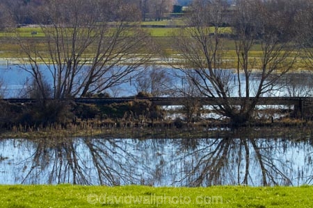 agricultural;agriculture;calm;country;countryside;Dunedin;farm;farming;farmland;farms;field;fields;meadow;meadows;N.Z.;New-Zealand;NZ;Otago;paddock;paddocks;pasture;pastures;placid;quiet;rail-line;rail-lines;rail-track;rail-tracks;railroad;railroads;railway;railway-line;railway-lines;railway-track;railway-tracks;railways;reflected;reflection;reflections;rural;S.I.;serene;SI;smooth;South-Is;South-Island;still;Taieri-Plain;Taieri-Plains;track;tracks;train-track;train-tracks;tranquil;transport;transportation;tree;trees;water;willow;willow-tree;willow-trees;willows