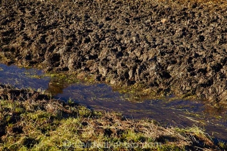 agricultural;agriculture;brook;brooks;country;countryside;creek;creeks;dirt;dirty;drain;drainage-channel;drainage-channels;drainage-ditch;drainage-ditches;drains;Dunedin;farm;farming;farmland;farms;field;fields;meadow;meadows;mud;muddy;N.Z.;New-Zealand;NZ;Otago;paddock;paddocks;pasture;pastures;pugged;pugged-pastured;pugging;riparian-area;riparian-areas;riparian-buffer;riparian-buffer-zone;riparian-buffer-zones;riparian-buffers;riparian-strip;riparian-strips;riparian-zone;riparian-zones;rural;S.I.;SI;South-Is;South-Island;stock-pugging;stream;streams;Taieri-Plain;Taieri-Plains;unfenced;water;watercourse;watercouses;waterway;waterways