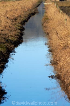 agricultural;agriculture;brook;brooks;calm;country;countryside;creek;creeks;drain;drainage-channel;drainage-channels;drainage-ditch;drainage-ditches;drains;Dunedin;farm;farming;farmland;farms;fenced-riparian-strip;field;fields;meadow;meadows;N.Z.;New-Zealand;NZ;Otago;paddock;paddocks;pasture;pastures;placid;quiet;reflected;reflection;reflections;riparian-area;riparian-areas;riparian-buffer;riparian-buffer-zone;riparian-buffer-zones;riparian-buffers;riparian-strip;riparian-strips;riparian-zone;riparian-zones;rural;S.I.;serene;SI;smooth;South-Is;South-Island;still;stream;streams;Taieri-Plain;Taieri-Plains;tranquil;water;watercourse;watercouses;waterway;waterways