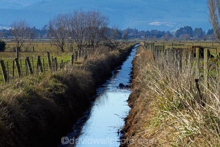agricultural;agriculture;brook;brooks;calm;country;countryside;creek;creeks;drain;drainage-channel;drainage-channels;drainage-ditch;drainage-ditches;drains;Dunedin;farm;farming;farmland;farms;fenced-riparian-strip;field;fields;meadow;meadows;N.Z.;New-Zealand;NZ;Otago;paddock;paddocks;pasture;pastures;placid;quiet;reflected;reflection;reflections;riparian-area;riparian-areas;riparian-buffer;riparian-buffer-zone;riparian-buffer-zones;riparian-buffers;riparian-strip;riparian-strips;riparian-zone;riparian-zones;rural;S.I.;serene;SI;smooth;South-Is;South-Island;still;stream;streams;Taieri-Plain;Taieri-Plains;tranquil;water;watercourse;watercouses;waterway;waterways