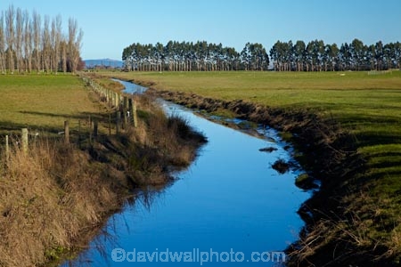agricultural;agriculture;brook;brooks;calm;country;countryside;creek;creeks;drain;drainage-channel;drainage-channels;drainage-ditch;drainage-ditches;drains;Dunedin;farm;farming;farmland;farms;fenced-riparian-strip;field;fields;meadow;meadows;N.Z.;New-Zealand;NZ;Otago;paddock;paddocks;partly-fenced-riparian-strip;pasture;pastures;placid;quiet;reflected;reflection;reflections;riparian-area;riparian-areas;riparian-buffer;riparian-buffer-zone;riparian-buffer-zones;riparian-buffers;riparian-strip;riparian-strips;riparian-zone;riparian-zones;rural;S.I.;serene;SI;smooth;South-Is;South-Island;still;stream;streams;Taieri-Plain;Taieri-Plains;tranquil;unfenced-riparian-strip;water;watercourse;watercouses;waterway;waterways