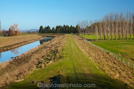 agricultural;agriculture;brook;brooks;country;countryside;creek;creeks;dike;dikes;drain;drainage-channel;drainage-channels;drainage-ditch;drainage-ditches;drains;Dunedin;dyke;dykes;farm;farming;farmland;farms;field;fields;flood-bank;flood-banks;flood-channel;flood-channels;flood_bank;flood_banks;floodbank;floodbanks;levee;levees;meadow;meadows;N.Z.;New-Zealand;NZ;Otago;paddock;paddocks;pasture;pastures;riparian-area;riparian-areas;riparian-buffer;riparian-buffer-zone;riparian-buffer-zones;riparian-buffers;riparian-strip;riparian-strips;riparian-zone;riparian-zones;river;rivers;rural;S.I.;SI;Silver-Stream;Silverstream;South-Is;South-Island;stop-bank;stop-banks;stop_bank;stop_banks;stopbank;stopbanks;stream;streams;Taieri-Plain;Taieri-Plains;water;watercourse;watercouses;waterway;waterways