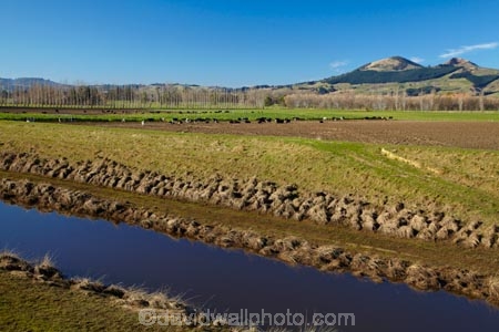 agricultural;agriculture;brook;brooks;country;countryside;creek;creeks;dike;dikes;drain;drainage-channel;drainage-channels;drainage-ditch;drainage-ditches;drains;Dunedin;dyke;dykes;farm;farming;farmland;farms;field;fields;flood-bank;flood-banks;flood-channel;flood-channels;flood_bank;flood_banks;floodbank;floodbanks;levee;levees;meadow;meadows;N.Z.;New-Zealand;NZ;Otago;paddock;paddocks;pasture;pastures;riparian-area;riparian-areas;riparian-buffer;riparian-buffer-zone;riparian-buffer-zones;riparian-buffers;riparian-strip;riparian-strips;riparian-zone;riparian-zones;river;rivers;rural;S.I.;SI;Silver-Stream;Silverstream;South-Is;South-Island;stop-bank;stop-banks;stop_bank;stop_banks;stopbank;stopbanks;stream;streams;Taieri-Plain;Taieri-Plains;water;watercourse;watercouses;waterway;waterways