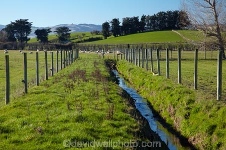 agricultural;agriculture;brook;brooks;country;countryside;creek;creeks;deer-fence;deer-fencing;drain;drainage-channel;drainage-channels;drainage-ditch;drainage-ditches;drains;Dunedin;farm;farming;farmland;farms;field;fields;meadow;meadows;N.Z.;New-Zealand;NZ;Otago;paddock;paddocks;pasture;pastures;riparian-area;riparian-areas;riparian-buffer;riparian-buffer-zone;riparian-buffer-zones;riparian-buffers;riparian-strip;riparian-strips;riparian-zone;riparian-zones;rural;S.I.;SI;South-Is;South-Island;stream;streams;Taieri-Plain;Taieri-Plains;water;watercourse;watercouses;waterway;waterways