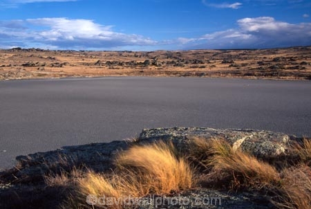 Middlemarch;Otago;Sutton;Salt-Lake;lake;lakes;dry;rocky;rock;sparse;cloud;clouds;grey;empty;bleak;wind;windy;tussock;tussocks;grass;grasses;strath-taieri