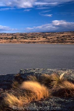 Middlemarch;Otago;Sutton;Salt-Lake;lake;lakes;dry;rocky;rock;sparse;cloud;clouds;grey;empty;bleak;wind;windy;tussock;tussocks;grass;grasses;strath-taieri