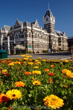 1899;Architect;architecture;bloom;blooming;blooms;building;buildings;color;colorful;colors;colour;colourful;colours;council-gardens;Court;Courts;District-Court;District-Courts;Dunedin;Dunedin-Court;Dunedin-Courts;Dunedin-High-Court;Dunedin-Law-Courts;floral;flower;flower-bed;flower-beds;flower-garden;flower-gardens;flowers;fresh;garden;gardens;grow;growth;heritage;High-Court;High-Courts;historic;historic-building;historic-buildings;historical;historical-building;historical-buildings;history;John-Campbell;justice;justice-system;law;Law-Court;Law-Courts;legal;N.Z.;New-Zealand;NZ;old;Otago;S.I.;season;seasonal;seasons;SI;South-Is;South-Is.;South-Island;spring;Spring-Flowers;springtime;Sth-Is;tradition;traditional