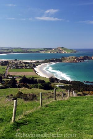 Karitane;Otago;coast;water;wave;waves;ocean;sea;beach;beaches;rural;town;settlement;curve;grass;green;tree;trees;fence;blue;sky;summer;sunny