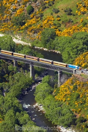 Bloom;bridge;bridges;carriage;carriages;common-gorse;country;countryside;Dunedin;excursion;furze;gorse;gorse-flower;gorse-flowers;Gorse-in-Flower;heritage;Hindon;historic-bridge;historic-bridges;historical-bridge;historical-bridges;invasive-plant-species;N.Z.;New-Zealand;noxious-plant;noxious-plants;noxious-weed;noxious-weeds;NZ;old;Otago;Passenger-Train;Passenger-Trains;rail;rail-bridge;rail-bridges;railroad;railroads;rails;railway;railway-bridge;railway-bridges;railways;river;rivers;rural;S.I.;season;seasonal;seasons;SI;South-Is;South-Is.;South-Island;spring;spring-time;spring_time;springtime;Sth-Is;Taieri;Taieri-Gorge;Taieri-Gorge-Excursion-Train;Taieri-Gorge-Train;Taieri-River;tourism;train;train-bridge;train-bridges;trains;transport;transportation;travel;Ulex-europaeus;weed;weeds;whin;willow-tree;willow-trees;willows;yellow;yellow-flower;yellow-flowers