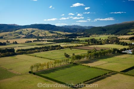 aerial;aerial-image;aerial-images;aerial-photo;aerial-photograph;aerial-photographs;aerial-photography;aerial-photos;aerial-view;aerial-views;aerials;agricultural;agriculture;country;countryside;Dunedin;farm;farming;farmland;farms;field;fields;green;lush;meadow;meadows;N.Z.;New-Zealand;North-Taieri;NZ;Otago;paddock;paddocks;pasture;pastures;rural;S.I.;SI;South-Is;South-Is.;South-Island;Sth-Is;Taieri-Plain;Taieri-Plains;verdant;water;windbreak;windbreaks