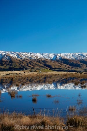 agricultural;agriculture;calm;country;countryside;Dunedin;farm;farm-pond;farm-ponds;farming;farmland;farms;fence;fence-line;fence-lines;fence_line;fence_lines;fenceline;fencelines;fences;field;fields;meadow;meadows;Middlemarch;N.Z.;New-Zealand;NZ;Otago;paddock;paddocks;pasture;pastures;placid;pond;ponds;quiet;range;ranges;reflected;reflection;reflections;Rock-amp;-Pillar-Range;Rock-and-Pillar-Range;rural;S.I.;season;seasons;serene;SI;smooth;snow-capped;snow_capped;snowcapped;snowy;South-Is;South-Is.;South-Island;Sth-Is;still;Strath-Taieri;Sutton;tranquil;water;winter