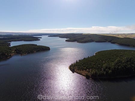 aerial;Aerial-drone;Aerial-drones;aerial-image;aerial-images;aerial-photo;aerial-photograph;aerial-photographs;aerial-photography;aerial-photos;aerial-view;aerial-views;aerials;conifer;conifer-forest;conifer-forests;conifers;Drone;Drones;Dunedin;exotic-forest;exotic-forestry;exotic-forests;forest;forestry;forests;hydro-lake;hydro-lakes;lake;Lake-Mahinerangi;lakes;Mahinerangi;Mahinerangi-Dam;N.Z.;New-Zealand;NZ;Otago;pine-forest;pine-forests;pine-tree;pine-trees;Quadcopter-aerial;Quadcopters-aerials;S.I.;SI;South-Is;South-Island;Sth-Is;technology;timber;tree;trees;trunk;trunks;U.A.V.-aerial;UAV-aerials;Waipouri-Dam;water;wood;woods