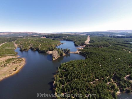 aerial;Aerial-drone;Aerial-drones;aerial-image;aerial-images;aerial-photo;aerial-photograph;aerial-photographs;aerial-photography;aerial-photos;aerial-view;aerial-views;aerials;conifer;conifer-forest;conifer-forests;conifers;Drone;Drones;Dunedin;exotic-forest;exotic-forestry;exotic-forests;forest;forestry;forests;hydro-lake;hydro-lakes;lake;Lake-Mahinerangi;lakes;Mahinerangi;Mahinerangi-Dam;N.Z.;New-Zealand;NZ;Otago;pine-forest;pine-forests;pine-tree;pine-trees;Quadcopter-aerial;Quadcopters-aerials;S.I.;SI;South-Is;South-Island;Sth-Is;technology;timber;tree;trees;trunk;trunks;U.A.V.-aerial;UAV-aerials;Waipouri-Dam;water;wood;woods