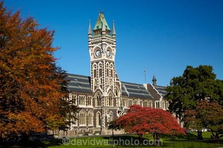 autuminal;autumn;autumn-colour;autumn-colours;autumnal;building;buildings;clock-tower;clock_tower;color;colors;colour;colours;deciduous;Dunedin;fall;heritage;historic;historic-building;historic-buildings;historical;historical-building;historical-buildings;history;leaf;leaves;N.Z.;New-Zealand;NZ;oak-leaf;oak-leaves;oak-tree;oak-trees;oaks;old;Otago;Otago-University;pin-oak;pin-oaks;registry-building;S.I.;season;seasonal;seasons;SI;South-Is;South-Is.;South-Island;Sth-Is;tradition;traditional;tree;trees;universities;university;University-of-Otago