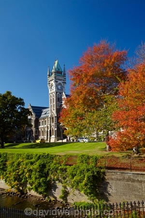 autuminal;autumn;autumn-colour;autumn-colours;autumnal;building;buildings;clock-tower;clock_tower;color;colors;colour;colours;deciduous;Dunedin;fall;heritage;historic;historic-building;historic-buildings;historical;historical-building;historical-buildings;history;leaf;leaves;Leith-Creek;Leith-River;Leith-Stream;N.Z.;New-Zealand;NZ;oak-leaf;oak-leaves;oak-tree;oak-trees;oaks;old;Otago;Otago-University;pin-oak;pin-oaks;registry-building;S.I.;season;seasonal;seasons;SI;South-Is;South-Is.;South-Island;Sth-Is;tradition;traditional;tree;trees;universities;university;University-of-Otago;Water-of-Leith;Waters-of-Leith