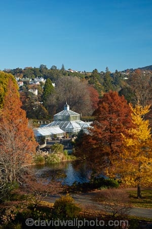 autuminal;autumn;autumn-colour;autumn-colours;autumn-tree;autumn-trees;autumnal;Botanic-Garden;Botanic-Gardens;Botanical-Garden;Botanical-Gardens;city-garden;city-gardens;color;colors;colour;colours;council-garden;council-gardens;deciduous;duck-pond;duck-ponds;Dunedin;Dunedin-Botanic-Garden;Dunedin-Botanic-Gardens;Dunedin-Botanical-Garden;Dunedin-Botanical-Gardens;Dunedin-Gardens;fall;garden;gardens;glass-house;glass-houses;glasshouse;glasshouses;leaf;leaves;N.Z.;New-Zealand;North-Dunedin;NZ;Otago;plant;plants;pond;ponds;S.I.;season;seasonal;seasons;SI;South-Is;South-Is.;South-Island;Sth-Is;still;tranquil;tree;trees;water