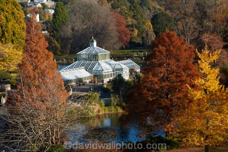 autuminal;autumn;autumn-colour;autumn-colours;autumn-tree;autumn-trees;autumnal;Botanic-Garden;Botanic-Gardens;Botanical-Garden;Botanical-Gardens;city-garden;city-gardens;color;colors;colour;colours;council-garden;council-gardens;deciduous;duck-pond;duck-ponds;Dunedin;Dunedin-Botanic-Garden;Dunedin-Botanic-Gardens;Dunedin-Botanical-Garden;Dunedin-Botanical-Gardens;Dunedin-Gardens;fall;garden;gardens;glass-house;glass-houses;glasshouse;glasshouses;leaf;leaves;N.Z.;New-Zealand;North-Dunedin;NZ;Otago;plant;plants;pond;ponds;S.I.;season;seasonal;seasons;SI;South-Is;South-Is.;South-Island;Sth-Is;still;tranquil;tree;trees;water