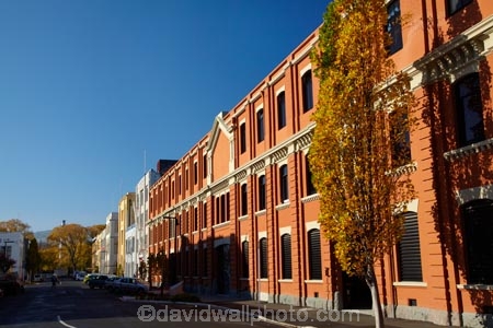 autuminal;autumn;autumn-colour;autumn-colours;autumnal;building;buildings;color;colors;colour;colours;deciduous;Dunedin;fall;gold;golden;heritage;historic;historic-building;historic-buildings;historical;historical-building;historical-buildings;history;leaf;leaves;N.Z.;New-Zealand;NZ;old;Otago;season;seasonal;seasons;South-Is;South-Island;Sth-Is;tradition;traditional;tree;trees;Vogel-St;Vogel-Street;yellow