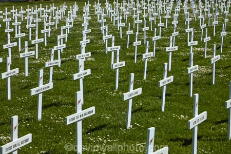 cross;crosses;Dunedin;Field-of-Rememberance;memorial;memorial-crosses;memorials;military-crosses;military-memorial;N.Z.;New-Zealand;NZ;Otago;pattern;patterns;Queens-Gardens;Queens-Gardens;row;rows;rows-of-crosses;soldiers-memorial-crosses;soldiers-memorials;South-Is;South-Island;Sth-Is;WWI-memorial
