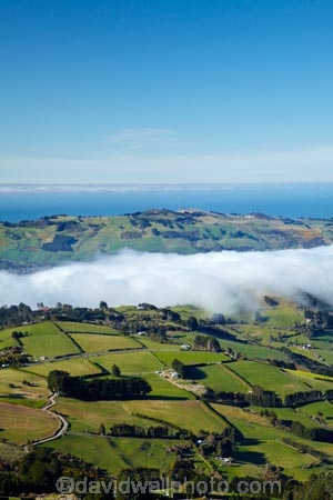 agricultural;agriculture;country;countryside;Dunedin;farm;farming;farmland;farms;field;fields;fog;foggy;fogs;Martins-Hill;meadow;meadows;mist;mists;misty;morning;N.Z.;New-Zealand;NZ;Otago;Otago-Harbor;Otago-Harbour;Otago-Peninsula;paddock;paddocks;pasture;pastures;rural;shelter-belt;shelter-belts;shelter_belt;shelter_belts;shelterbelt;shelterbelts;South-Is;South-Island;Sth-Is;Upper-Junction;weather;wind-break;wind-breaks;wind_break;wind_breaks;windbreak;windbreaks