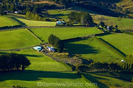 agricultural;agriculture;country;countryside;Dunedin;farm;farming;farmland;farms;field;fields;Martins-Hill;meadow;meadows;N.Z.;New-Zealand;NZ;Otago;paddock;paddocks;pasture;pastures;rural;shelter-belt;shelter-belts;shelter_belt;shelter_belts;shelterbelt;shelterbelts;South-Is;South-Island;Sth-Is;Upper-Junction;wind-break;wind-breaks;wind_break;wind_breaks;windbreak;windbreaks