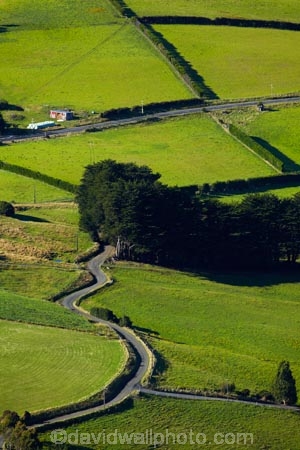 agricultural;agriculture;country;countryside;Dunedin;farm;farming;farmland;farms;field;fields;Martins-Hill;meadow;meadows;N.Z.;New-Zealand;NZ;Otago;paddock;paddocks;pasture;pastures;road;rural;s-bend;s-curve;shelter-belt;shelter-belts;shelter_belt;shelter_belts;shelterbelt;shelterbelts;South-Is;South-Island;Sth-Is;Upper-Junction;wind-break;wind-breaks;wind_break;wind_breaks;windbreak;windbreaks