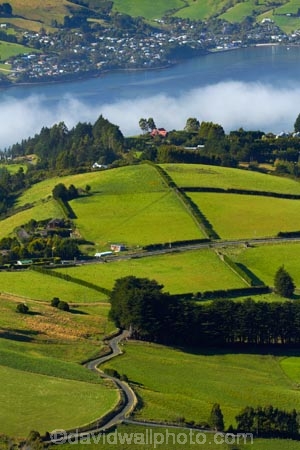 agricultural;agriculture;country;countryside;Dunedin;farm;farming;farmland;farms;field;fields;Martins-Hill;meadow;meadows;N.Z.;New-Zealand;NZ;Otago;Otago-Harbor;Otago-Harbour;Otago-Peninsula;paddock;paddocks;pasture;pastures;rural;shelter-belt;shelter-belts;shelter_belt;shelter_belts;shelterbelt;shelterbelts;South-Is;South-Island;Sth-Is;Upper-Junction;wind-break;wind-breaks;wind_break;wind_breaks;windbreak;windbreaks