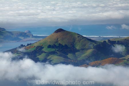 Dunedin;fog;foggy;fogs;Harbor-Cone;Harbour-Cone;mist;mists;misty;morning;N.Z.;New-Zealand;NZ;Otago;Otago-Harbor;Otago-Harbour;Otago-Peninsula;South-Is;South-Island;Sth-Is;weather
