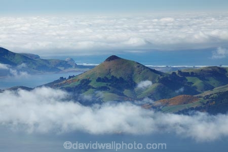 Dunedin;fog;foggy;fogs;Harbor-Cone;Harbour-Cone;mist;mists;misty;morning;N.Z.;New-Zealand;NZ;Otago;Otago-Harbor;Otago-Harbour;Otago-Peninsula;South-Is;South-Island;Sth-Is;weather