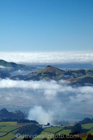 agricultural;agriculture;country;countryside;Dunedin;farm;farming;farmland;farms;field;fields;fog;foggy;fogs;Harbor-Cone;Harbour-Cone;meadow;meadows;mist;mists;misty;morning;N.Z.;New-Zealand;NZ;Otago;Otago-Harbor;Otago-Harbour;Otago-Peninsula;paddock;paddocks;pasture;pastures;rural;South-Is;South-Island;Sth-Is