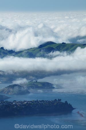 Dunedin;fog;foggy;fogs;mist;mists;misty;morning;N.Z.;New-Zealand;NZ;Otago;Otago-Harbor;Otago-Harbour;Otago-Peninsula;Port-Chalmers;South-Is;South-Island;Sth-Is;weather