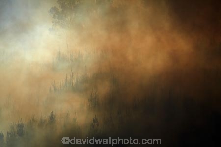 Burnside;Dunedin;fire;fires;forest-fire;forest-fires;N.Z.;New-Zealand;NZ;Otago;S.I.;SI;smoke;smokey;South-Is;South-Island;Sth-Is