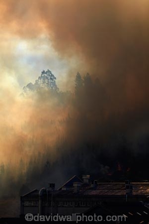 Burnside;Dunedin;fire;fires;forest-fire;forest-fires;N.Z.;New-Zealand;NZ;Otago;S.I.;SI;smoke;smokey;South-Is;South-Island;Sth-Is