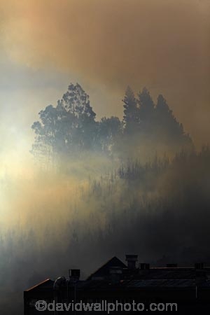 Burnside;Dunedin;fire;fires;forest-fire;forest-fires;N.Z.;New-Zealand;NZ;Otago;S.I.;SI;smoke;smokey;South-Is;South-Island;Sth-Is