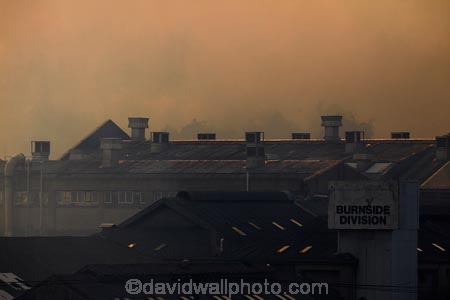 Burnside;Burnside-Freezing-Works;Dunedin;fire;fires;forest-fire;forest-fires;freezing-works;N.Z.;New-Zealand;NZ;Otago;S.I.;SI;smoke;smokey;South-Is;South-Island;Sth-Is