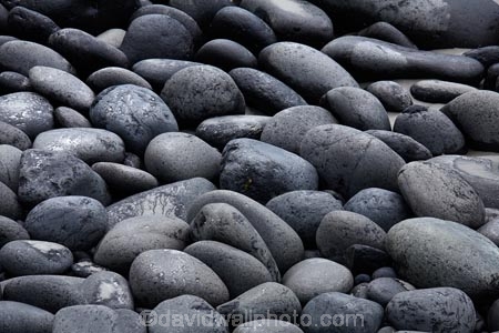 beach-beaches;boulder;boulders;coast;coastal;Dunedin;gray;grey;N.Z.;New-Zealand;NZ;Otago;Second-Beach;shore;shoreline;SI;South-Island;St-Clair;St-Clair-Beach;stones