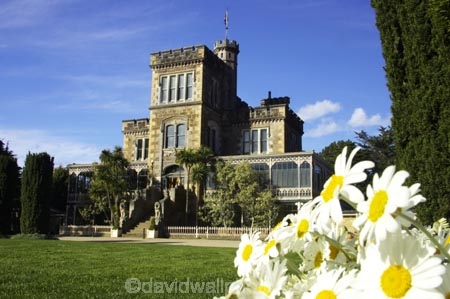architecture;building;buildings;castle;castles;daisies;daisy;Dunedin;flower;flowers;fountain;fountains;grand;historic;historical;history;Larnach-Castle;larnachs-castle;larnachs-castle;manor;New-Zealand;old;otago-peninslar;Otago-Peninsula;season;seasonal;seasons;South-Island;spring