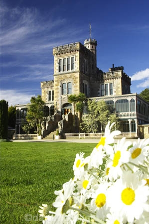 architecture;building;buildings;castle;castles;daisies;daisy;Dunedin;flower;flowers;fountain;fountains;grand;historic;historical;history;Larnach-Castle;larnachs-castle;larnachs-castle;manor;New-Zealand;old;otago-peninslar;Otago-Peninsula;season;seasonal;seasons;South-Island;spring