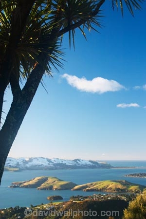 cold;Dunedin;harbor;harbors;harbour;harbours;larnach-castle;larnachs-castle;larnachs-castle;New-Zealand;otago-harbor;Otago-Harbour;otago-peninsula;Portobello-Peninsula;snow;South-Island;view-from-larnch-castle;winter