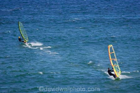 action;adventure;adventure-sports;beach;beaches;Dunedin;excitement;fast;N.Z.;New-Zealand;NZ;Ocean;oceans;Pacific-Ocean;past_time;recreation-leisure;sail;sailing;sails;Sea;South-Island;speed;sport;sports;St-Clair-Beach;wake;wakes;water;water-sport;water-sports;watersport;watersports;wave;waves;wind;Wind-surf;wind-surfer;wind-surfers;wind-surfing;Wind_surf;wind_surfer;wind_surfers;wind_surfing;Windsurf;windsurfer;windsurfers;windsurfing;windy
