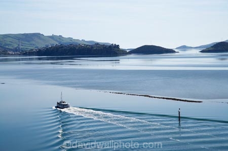 aerial;aerial-photo;aerial-photograph;aerial-photographs;aerial-photography;aerial-photos;aerial-view;aerial-views;aerials;boat;boats;cruise;cruises;Dunedin;eco-torusim;ecotourism;harbor;harbors;harbour;harbours;launch;launches;Monarch;Monarch-Cruise;Monarch-Cruises;Monarch-Tour;Monarch-Tour-Boat;Monarch-Tours;Monarch-Wildlife-Tours;N.Z.;New-Zealand;NZ;Otago;Otago-Harbor;Otago-Harbour;S.I.;SI;South-Is.;South-Island;tour-boat;tour-boats;tourism;tourist;tourist-boat;tourist-boats;tourists;water