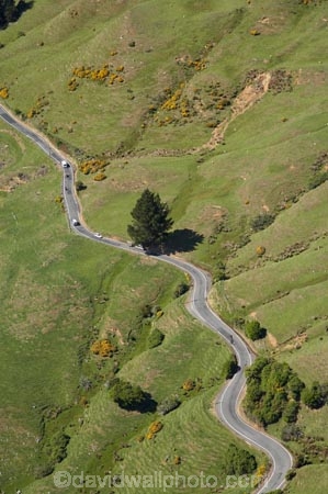 aerial;aerial-photo;aerial-photograph;aerial-photographs;aerial-photography;aerial-photos;aerial-view;aerial-views;aerials;agricultural;agriculture;bend;bends;corner;corners;country;countryside;curve;curves;Dunedin;farm;farming;farmland;farms;field;fields;Highcliff-Rd;Highcliff-Road;highway;highways;meadow;meadows;N.Z.;New-Zealand;NZ;open-road;open-roads;Otago;Otago-Peninsula;paddock;paddocks;pasture;pastures;Peggys-Hil;road;road-trip;roads;rural;S.I.;SI;South-Is.;South-Island;trip