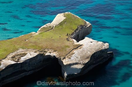 aerial;aerial-photo;aerial-photograph;aerial-photographs;aerial-photography;aerial-photos;aerial-view;aerial-views;aerials;arches;bluff;bluffs;cliff;cliffs;coast;coastal;coastal-erosion;coastline;coastlines;coasts;Dunedin;headland;headlands;N.Z.;natural-arch;New-Zealand;NZ;ocean;oceans;Otago;Pacific-Ocean;rock-arch;S.I.;sandstone;sandstone-arch;sea;sea-cliff;sea-cliffs;seas;shore;shoreline;shorelines;shores;SI;South-Is.;South-Island;steep;tourism;tourist;tourists;Tunnel-Beach;water