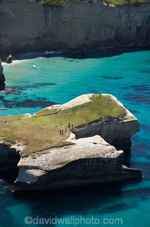 aerial;aerial-photo;aerial-photograph;aerial-photographs;aerial-photography;aerial-photos;aerial-view;aerial-views;aerials;bluff;bluffs;cliff;cliffs;coast;coastal;coastal-erosion;coastline;coastlines;coasts;Dunedin;headland;headlands;N.Z.;New-Zealand;NZ;ocean;oceans;Otago;Pacific-Ocean;S.I.;sandstone;sea;sea-cliff;sea-cliffs;seas;shore;shoreline;shorelines;shores;SI;South-Is.;South-Island;steep;summer;tourism;tourist;tourists;Tunnel-Beach;water