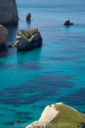 aerial;aerial-photo;aerial-photograph;aerial-photographs;aerial-photography;aerial-photos;aerial-view;aerial-views;aerials;bluff;bluffs;cliff;cliffs;coast;coastal;coastal-erosion;coastline;coastlines;coasts;Dunedin;N.Z.;New-Zealand;NZ;ocean;oceans;Otago;Pacific-Ocean;rock-stack;rock-stacks;S.I.;sandstone;sea;sea-cliff;sea-cliffs;sea-stack;sea-stacks;seas;shore;shoreline;shorelines;shores;SI;South-Is.;South-Island;steep;tourism;tourist;tourists;Tunnel-Beach;water