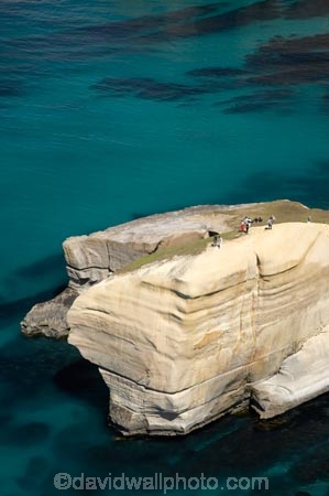aerial;aerial-photo;aerial-photograph;aerial-photographs;aerial-photography;aerial-photos;aerial-view;aerial-views;aerials;bluff;bluffs;cliff;cliffs;coast;coastal;coastal-erosion;coastline;coastlines;coasts;Dunedin;headland;headlands;N.Z.;New-Zealand;NZ;ocean;oceans;Otago;Pacific-Ocean;S.I.;sandstone;sea;sea-cliff;sea-cliffs;seas;shore;shoreline;shorelines;shores;SI;South-Is.;South-Island;steep;tourism;tourist;tourists;Tunnel-Beach;water