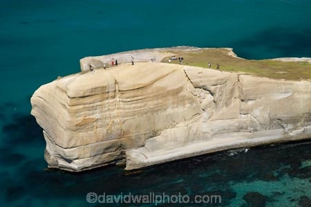 aerial;aerial-photo;aerial-photograph;aerial-photographs;aerial-photography;aerial-photos;aerial-view;aerial-views;aerials;bluff;bluffs;cliff;cliffs;coast;coastal;coastal-erosion;coastline;coastlines;coasts;Dunedin;headland;headlands;N.Z.;New-Zealand;NZ;ocean;oceans;Otago;Pacific-Ocean;S.I.;sandstone;sea;sea-cliff;sea-cliffs;seas;shore;shoreline;shorelines;shores;SI;South-Is.;South-Island;steep;tourism;tourist;tourists;Tunnel-Beach;water