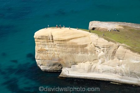 aerial;aerial-photo;aerial-photograph;aerial-photographs;aerial-photography;aerial-photos;aerial-view;aerial-views;aerials;bluff;bluffs;cliff;cliffs;coast;coastal;coastal-erosion;coastline;coastlines;coasts;Dunedin;headland;headlands;N.Z.;New-Zealand;NZ;ocean;oceans;Otago;Pacific-Ocean;S.I.;sandstone;sea;sea-cliff;sea-cliffs;seas;shore;shoreline;shorelines;shores;SI;South-Is.;South-Island;steep;tourism;tourist;tourists;Tunnel-Beach;water