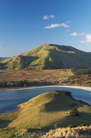 Dunedin;estuaries;estuary;Hoopers-Inlet;Hoopers-Inlet;inlet;inlets;lagoon;lagoons;Mount-Charles;Mt-Charles;Mt.-Charles;N.Z.;New-Zealand;NZ;Otago-Peninsula;S.I.;Sandy-Mount;Sandymount;SI;South-Is.;South-Island;tidal;tide;water